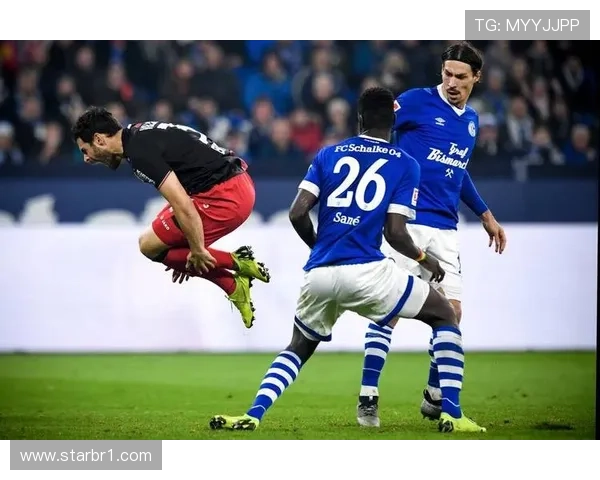 沙尔克本赛季走势清晰，竞争力增强值得期待